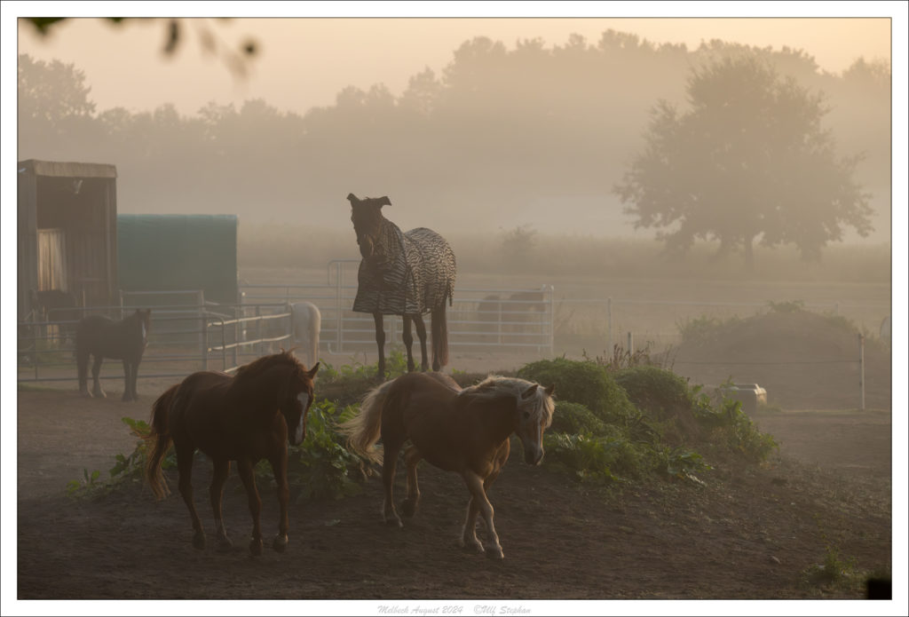 Sonnenaufgang am Trail des Hof Drewes