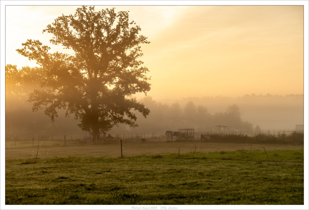 Sonnenaufgang am Trail des Hof Drewes