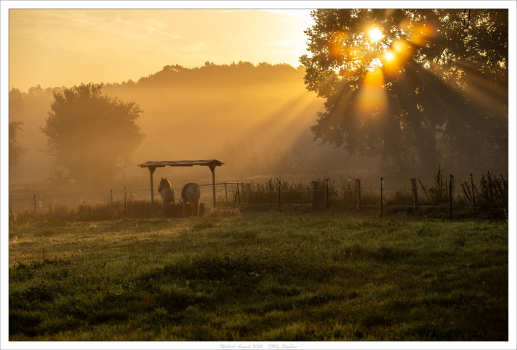 Sonnenaufgang am Trail des Hof Drewes