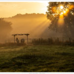 Sonnenaufgang am Trail des Hof Drewes