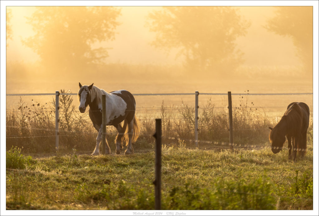 Sonnenaufgang am Trail des Hof Drewes