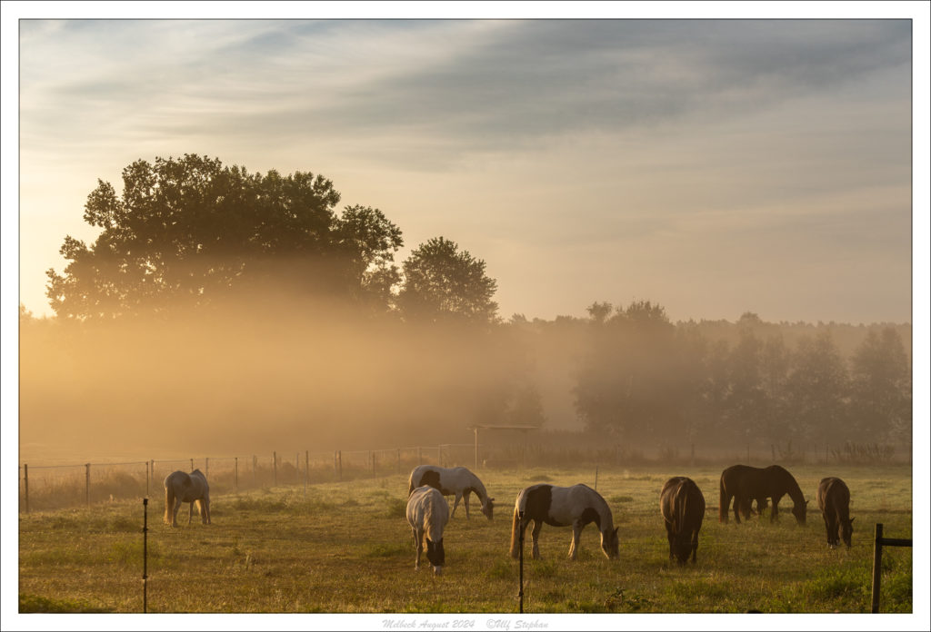 Sonnenaufgang am Trail des Hof Drewes