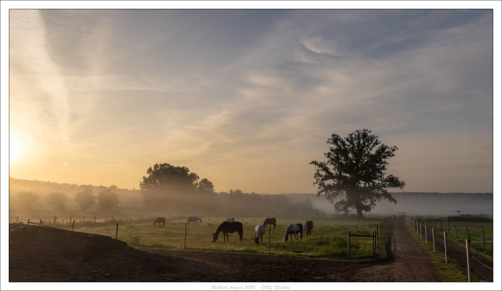 Sonnenaufgang am Trail des Hof Drewes